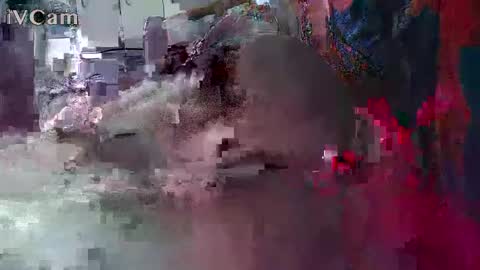 xxilikeassxx online show from February 13, 2026, 10:33 am