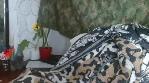 Snapshot of xxx_morena chatting on January 4, 2025, 12:05 am LILI online show from January 4, 2025, 12:05 am