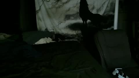 Snapshot of xxxjrstrokesxxx chatting on January 25, 2025, 2:15 am xxxjrstrokesxxx online show from January 25, 2025, 2:15 am