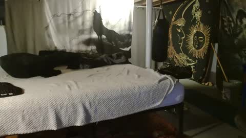 xxxjrstrokesxxx online show from September 20, 2025, 6:20 pm