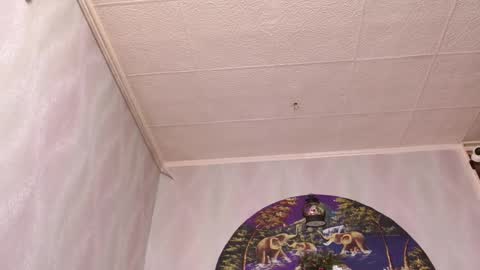 isa and gonzo online show from December 16, 2025, 4:39 am