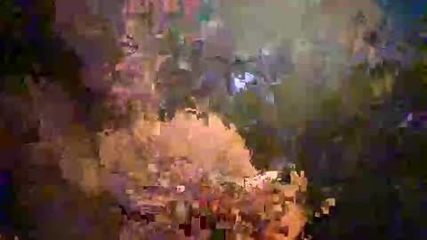 xxxmc87 online show from September 20, 2025, 7:09 am