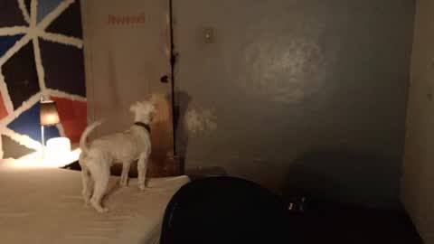 Melissa online show from February 4, 2025, 11:49 am