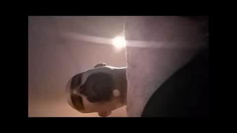 Snapshot of xzbib chatting on April 4, 2026, 4:48 pm Xzbib online show from April 4, 2026, 4:48 pm