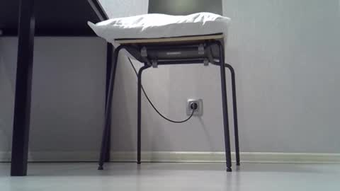 Dina online show from February 1, 2026, 3:27 am