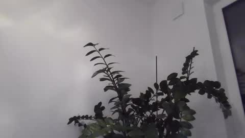 yakijoe online show from October 22, 2025, 10:09 pm