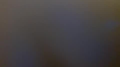 YARA online show from December 5, 2024, 5:04 am