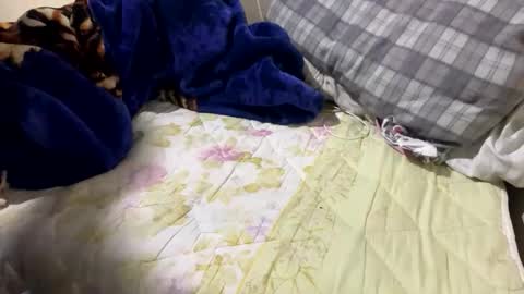 yasarsimo99154258 online show from February 23, 2026, 12:09 am