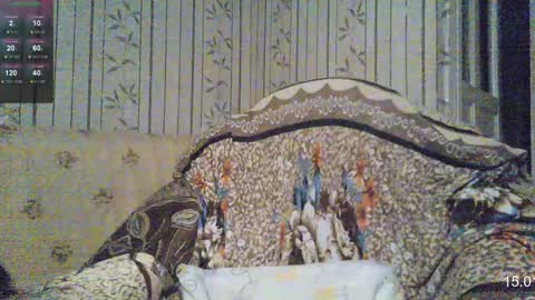 Sven online show from January 15, 2025, 7:48 am