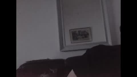 yean1234 online show from January 21, 2025, 11:13 am