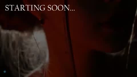 Kate online show from June 29, 2026, 6:19 pm