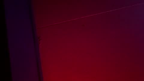 Snapshot of yelladaniella chatting on December 1, 2025, 10:42 am Ella Ts online show from December 1, 2025, 10:42 am