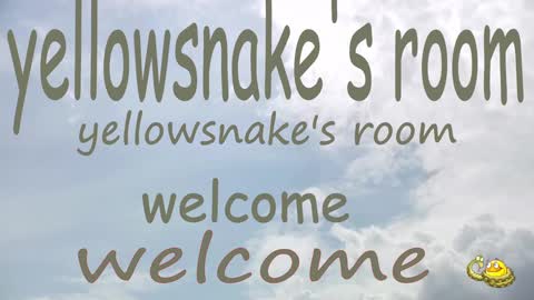 .     y e l l o w s n a k e s       . online show from September 30, 2025, 10:37 pm