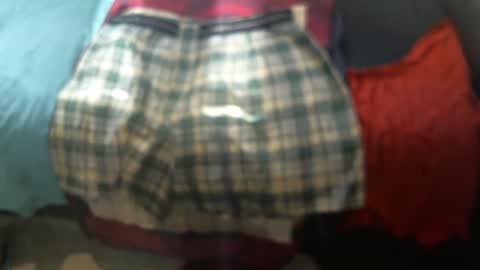 .     y e l l o w s n a k e s       . online show from October 13, 2025, 9:15 pm