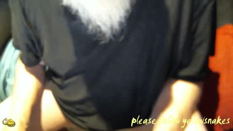 .     y e l l o w s n a k e s       . online show from October 27, 2025, 2:10 pm