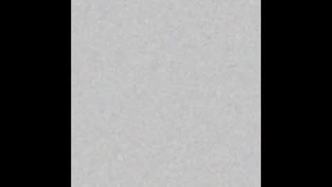 .     y e l l o w s n a k e s       . online show from February 2, 2026, 4:27 pm