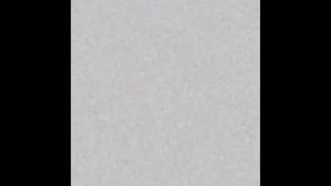 .     y e l l o w s n a k e s       . online show from February 5, 2026, 4:22 pm