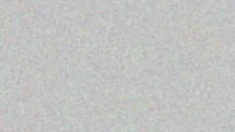 .     y e l l o w s n a k e s       . online show from July 8, 2026, 6:40 am