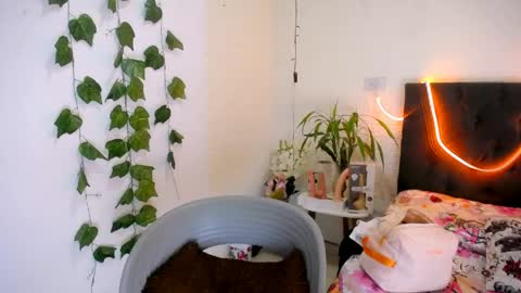 Snapshot of yemfairymcry chatting on May 13, 2026, 4:26 pm YEM online show from May 13, 2026, 4:26 pm