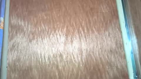 yhang_slut online show from November 30, 2025, 7:34 am