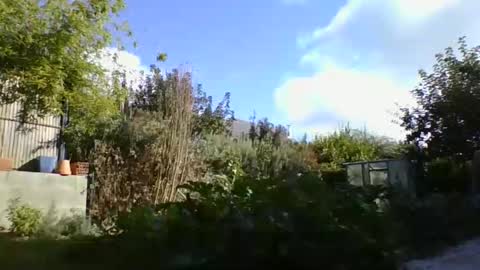 Yoann online show from October 9, 2025, 1:42 pm