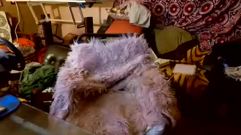 Taylor Tash online show from October 20, 2025, 5:08 am