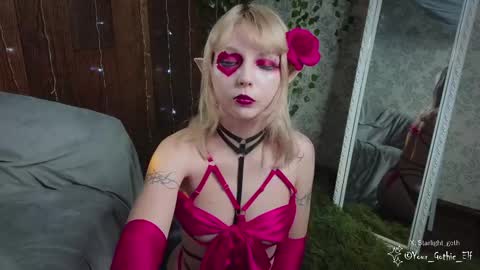 Snapshot of your_gothic_elf chatting on February 16, 2025, 2:53 am Stella online show from February 16, 2025, 2:53 am