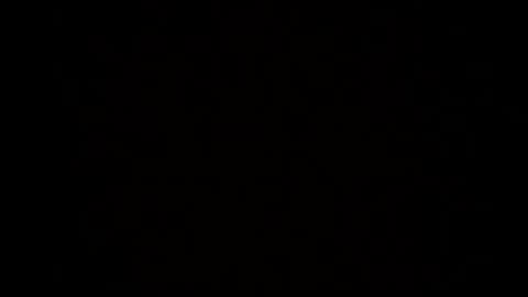 yourasiangirl angelika online show from January 15, 2026, 11:48 am