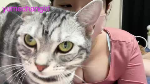 YumechangirlAnime Fan    online show from February 6, 2025, 3:16 am