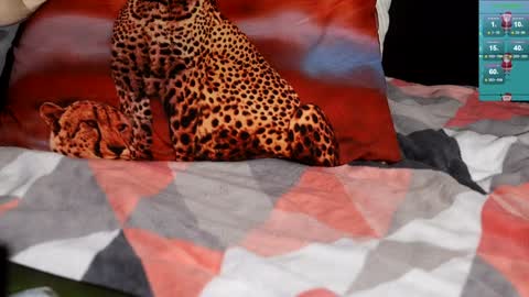 ShyMan online show from January 8, 2025, 10:15 am