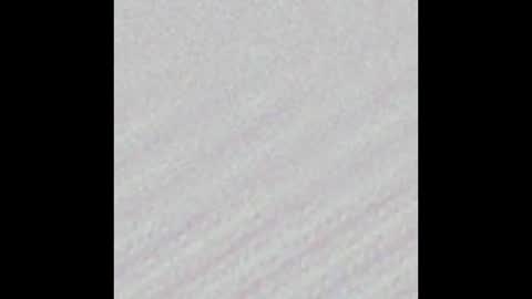 Octavian online show from February 16, 2025, 4:42 am