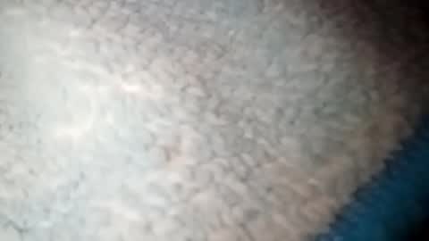 yuyu33333284475 online show from January 22, 2025, 3:52 am