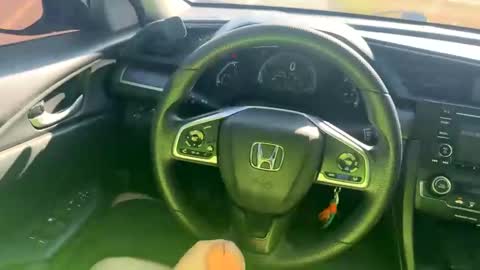 zadddy209 online show from December 20, 2024, 7:39 pm