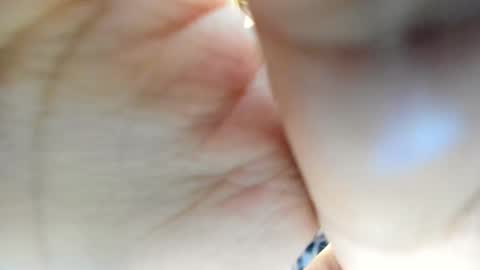 zarirosse online show from December 21, 2025, 3:41 pm