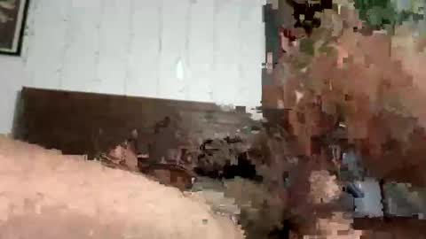 Snapshot of zayd3n69 chatting on October 23, 2025, 7:07 am zayden online show from October 23, 2025, 7:07 am