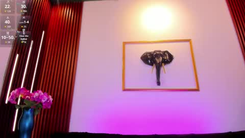  Zayda  online show from February 26, 2026, 8:30 pm