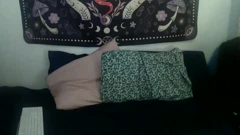 Zelda online show from January 24, 2025, 1:24 am