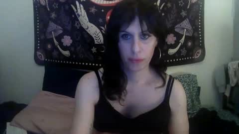 Zelda online show from February 1, 2025, 11:27 pm