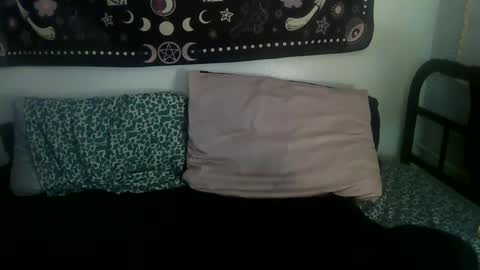 Zelda online show from February 17, 2025, 2:09 am