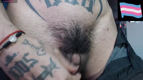 Zeldris online show from February 8, 2025, 10:51 pm