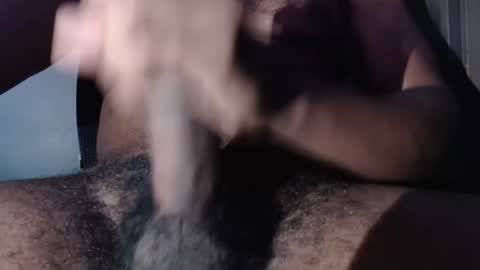 zelvaria online show from November 12, 2025, 11:54 am