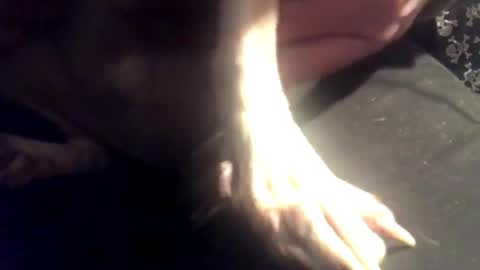 zero online show from March 7, 2025, 8:13 am