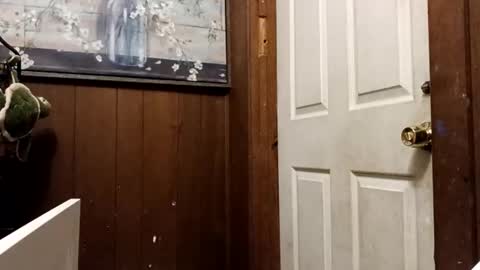 zfdcuvxqqtzh online show from November 10, 2025, 3:27 am