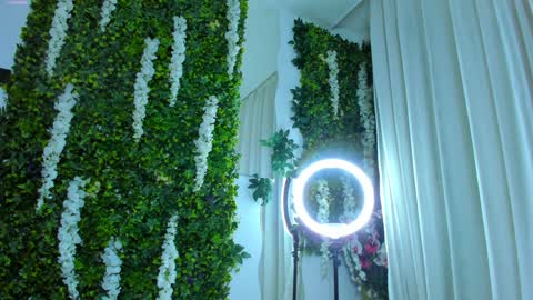 Galli online show from December 25, 2024, 12:48 am