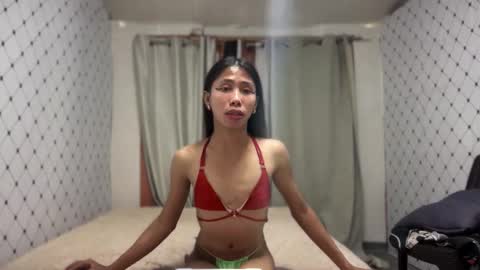 Zinnia nics online show from November 19, 2025, 5:51 am