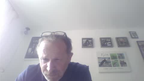 Snapshot of zippi55 chatting on July 17, 2026, 1:29 pm Zippi online show from July 17, 2026, 1:29 pm