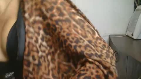 Ziyaa online show from February 22, 2026, 4:13 am