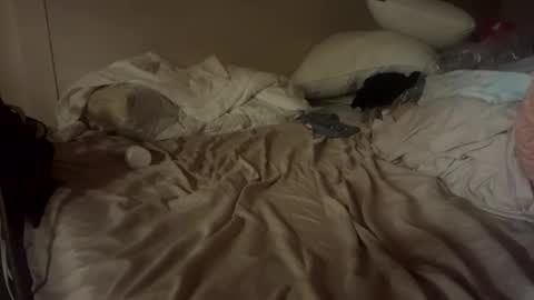 Snapshot of zyph_kohl chatting on November 17, 2025, 10:32 am zyph_kohl online show from November 17, 2025, 10:32 am