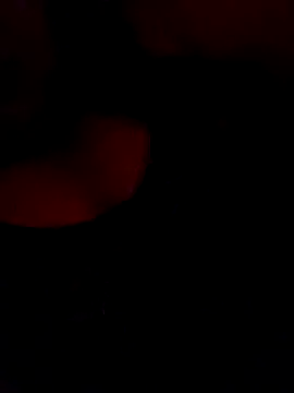 Snapshot of FerLu8 chatting on February 26, 2026, 4:00 am FerLu8 online show from February 26, 2026, 4:00 am