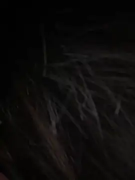 Serena-AU online show from January 15, 2026, 3:27 pm